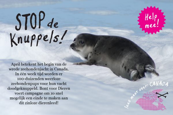 Stop de Knuppels