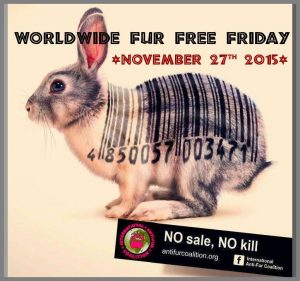 fur free friday