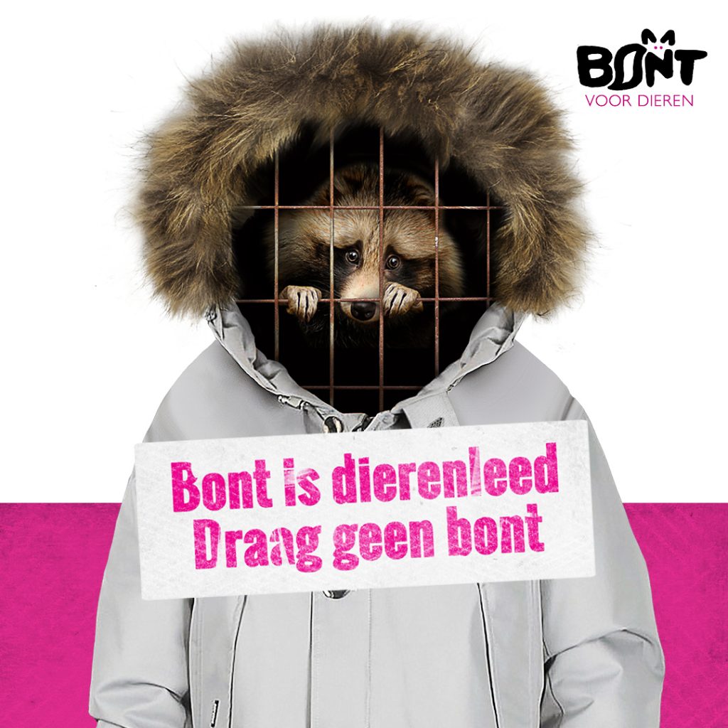 Airforce Bontvrij|Airforce_ga_bontvrij_winterjas_wasbeerhond_bont_voor_dieren