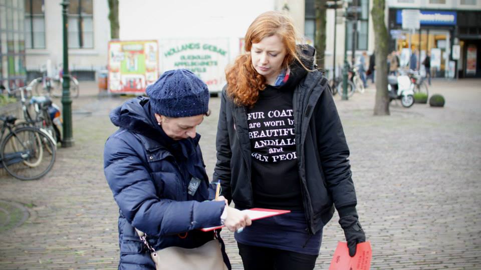 De petitie is ook online te vinden en werd massaal getekend. 