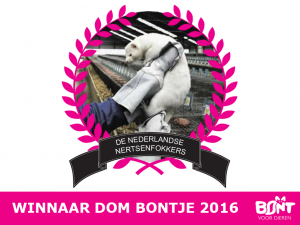 Winnaar dom bontje 2016