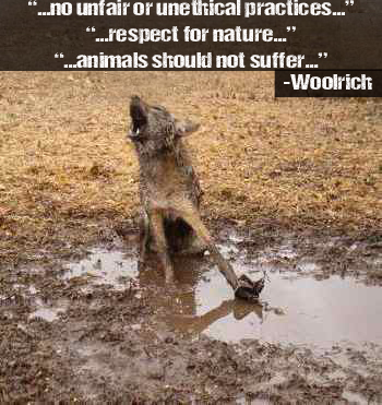 Woolrich sales coyote fur