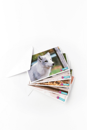 Wenskaarten Adoptiedieren - set van 5