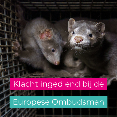 Klacht bij de ombudsman